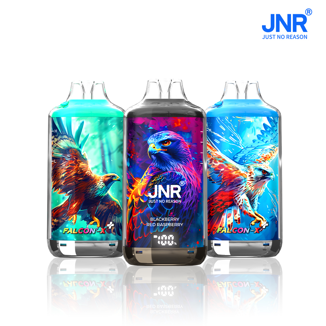 JNR Falcon-X⁺ - Image 3