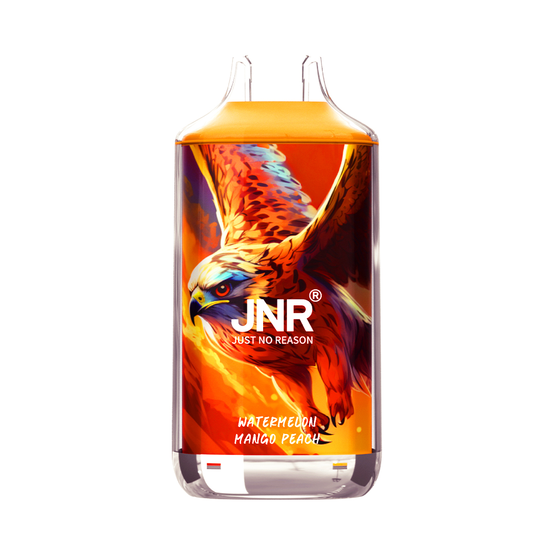JNR Falcon - Image 2